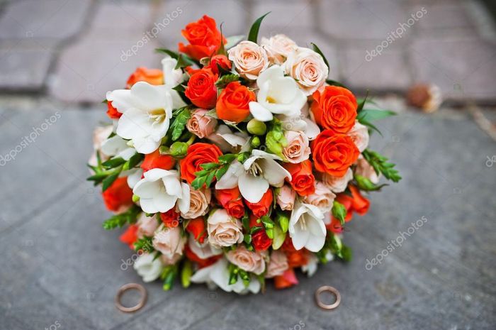 Il colore dei fiori - 1