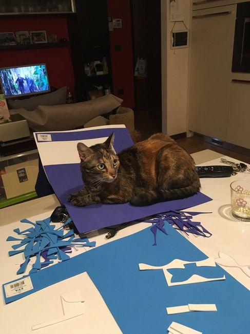  Fiocchetti.. con l'aiutante - 2