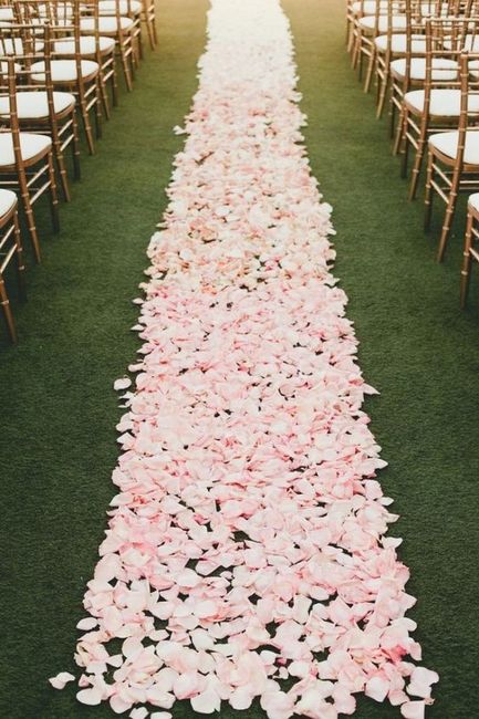 Dirigiamoci verso la cerimonia: una corsia di petali rosa chiaro con qualche tocco di bianco potrebb