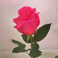 12 bouquet perfetti per un matrimonio in estate: voi che ne pensate? - 2