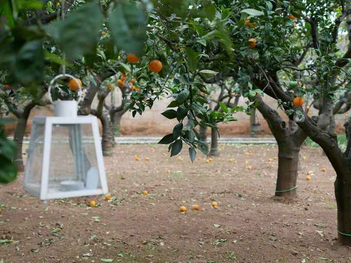 Mi sono innamorata... - 6