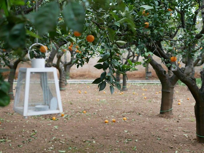 Mi sono innamorata... - 6