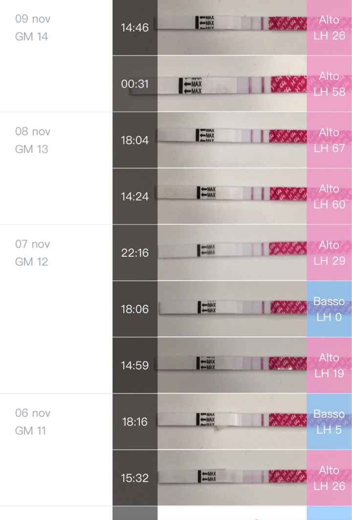 Chi non le aspetta per novembre 2019 - 1
