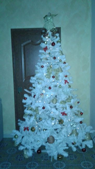 Le nostre casine natalizie - 1