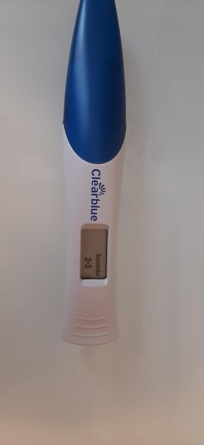 Chi non le aspetta per Ottobre 2022 🍁🧡🌤 - 1