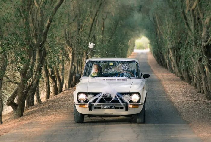 3 Auto per 3 personalità, qual è la tua? 🚗 10