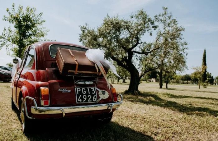 3 Auto per 3 personalità, qual è la tua? 🚗 11