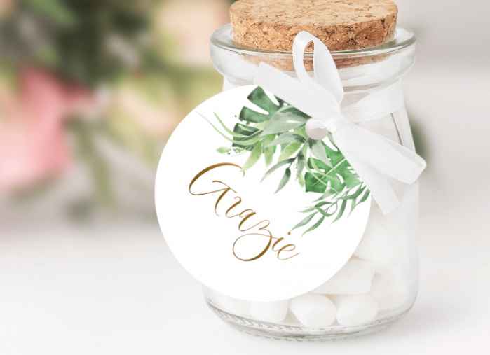 Tropicana: vota la grafica - 2