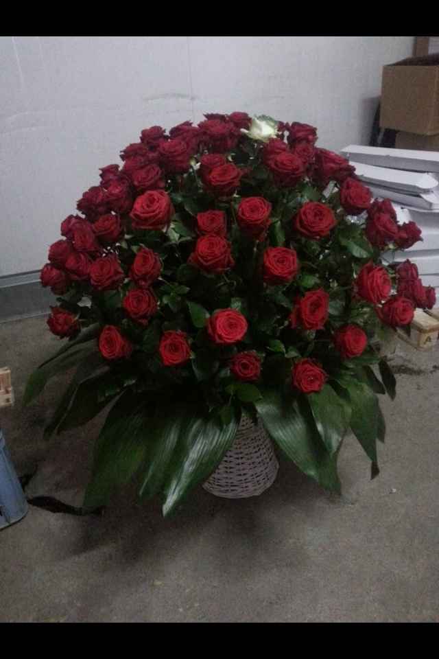 Verde mela o verde smeraldo? - 10