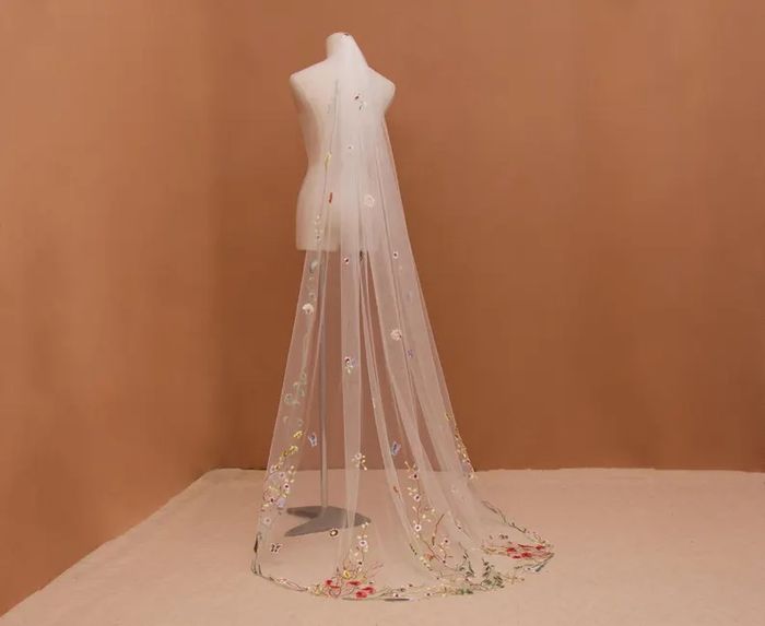 Idee velo o non velo 2