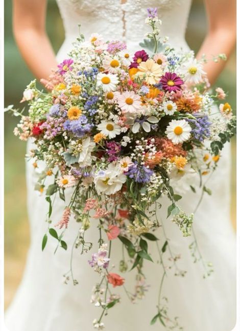 In cerca di un bouquet - 1