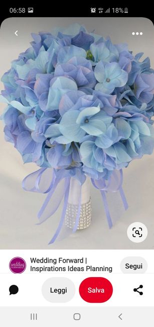 Ansia e indecisioni varie 15