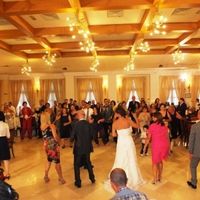 animazione matrimonio