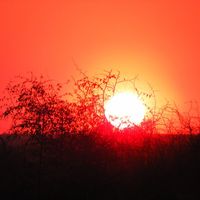 tramonto nella savana