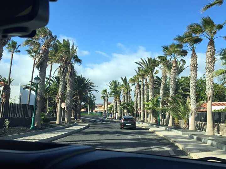 Fuerteventura- tenerife - 6