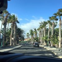 Fuerteventura- tenerife - 6