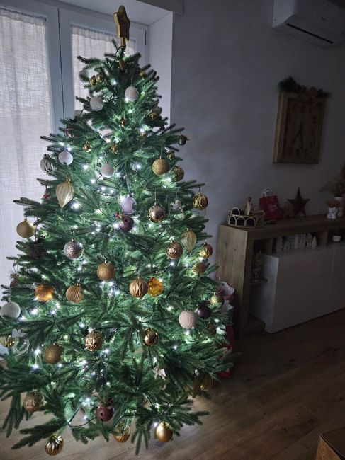 L’albero di Natale! 🎄 15