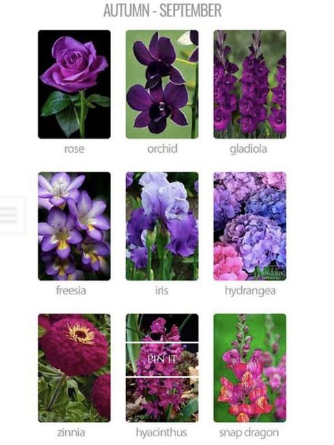 Bouquet con fiori "di stagione" 5