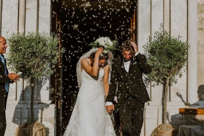 Fiori secchi e foglie d'ulivo 5