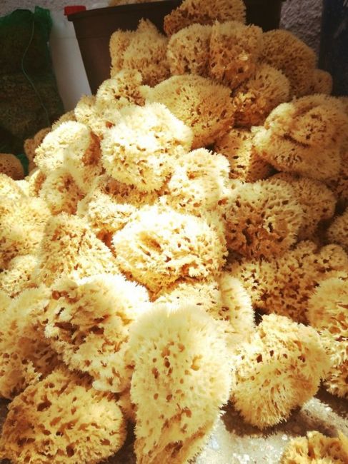 Suggerimenti per le bomboniere? tema grecia 16