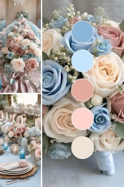 Sos palette colori 6