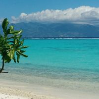 Polinesia, consigli. - 3