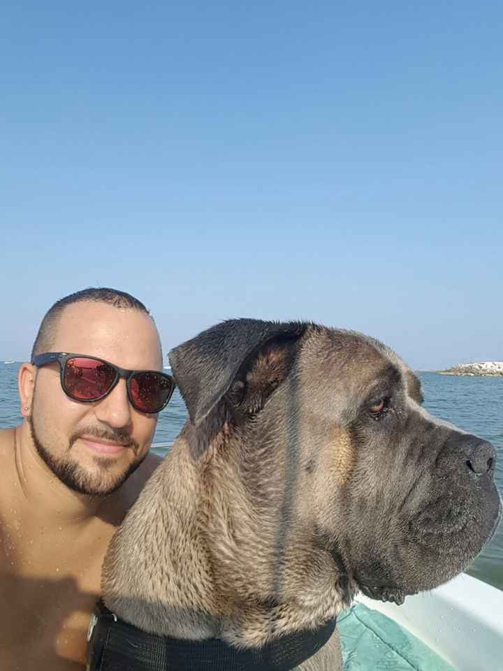 La nuova arrivata ?? - 1