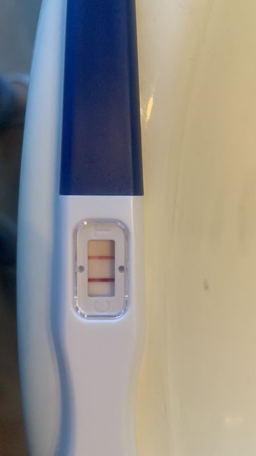 Chi non le aspetta per febbraio 2023 💪🏻❄️🍀🐞🥰 1