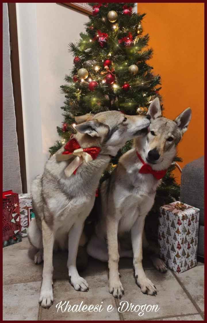 Postate una foto di voi due 👇 - 1