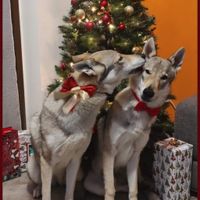 Postate una foto di voi due 👇 - 1