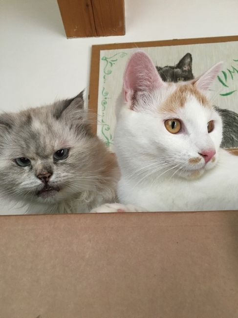 Minny & Max