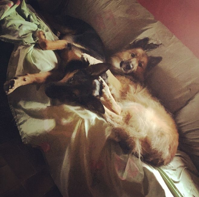 La mia damigella - 1