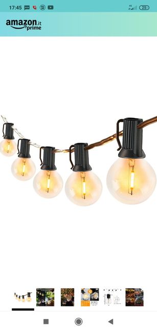 Catene di lampadine in giardino 1