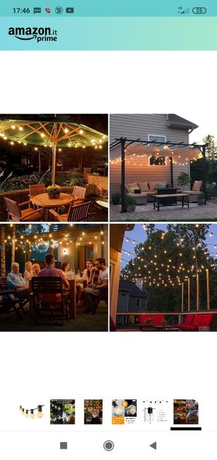 Catene di lampadine in giardino 2