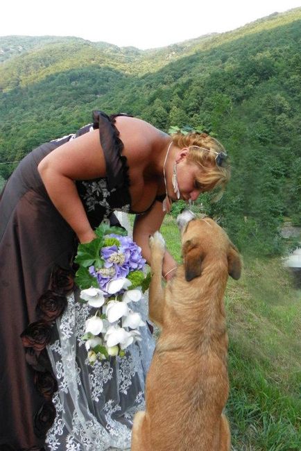 Foto con gli animali: valuta! - 1