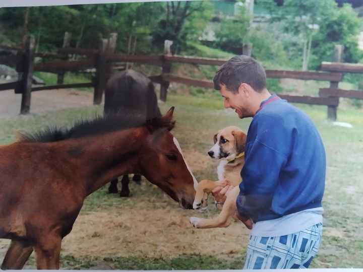 4 zampe al matrimonio! - 2