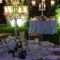 Tema: foresta incantata - 1