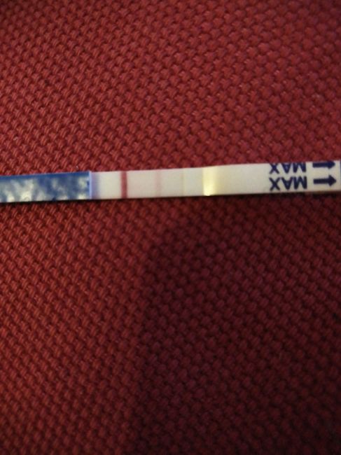 Promatris test di gravidanza - 1