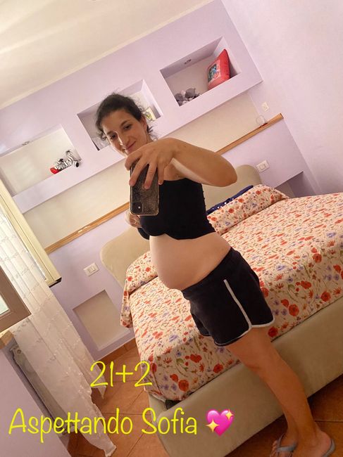 Al via il toto scommesse! ♂️♀️ - 1