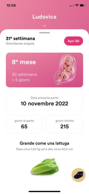 Future mamma novembre 2022 🍇🍁🧸 3