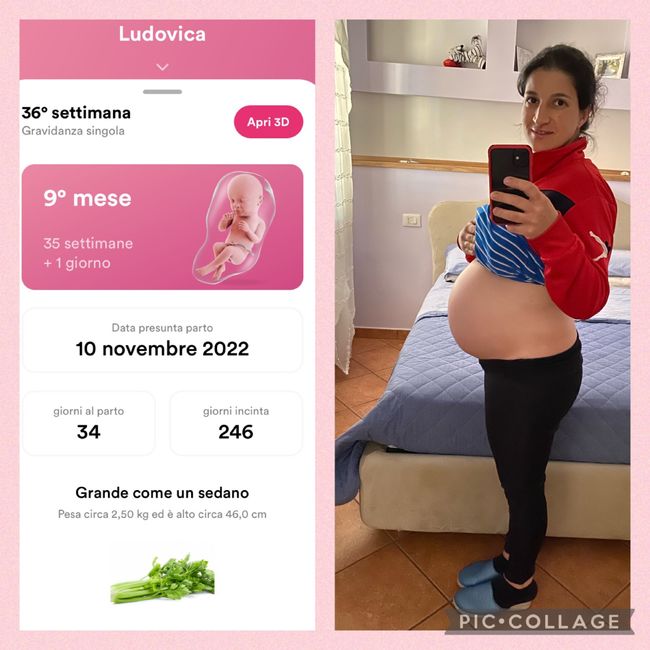 Future mamma novembre 2022 🍇🍁🧸 3