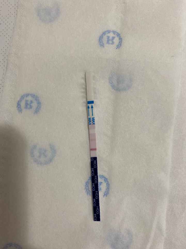 Chi non le aspetta per Febbraio 2022 🤩🤞🍀❤️ - 1