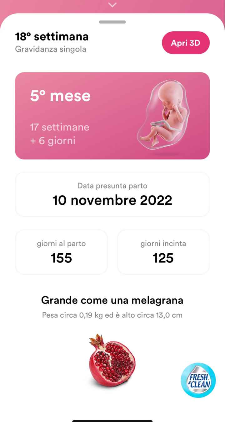 Future mamma novembre 2022 🍇🍁🧸 - 1