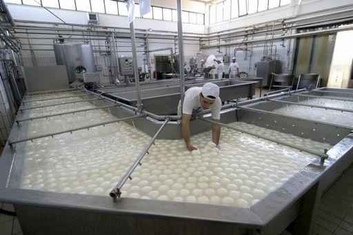 caseificio salernitano