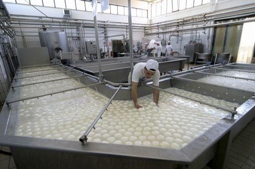 caseificio salernitano