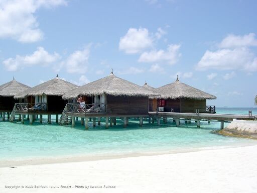 maldive