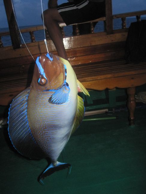 pescato da mio marito