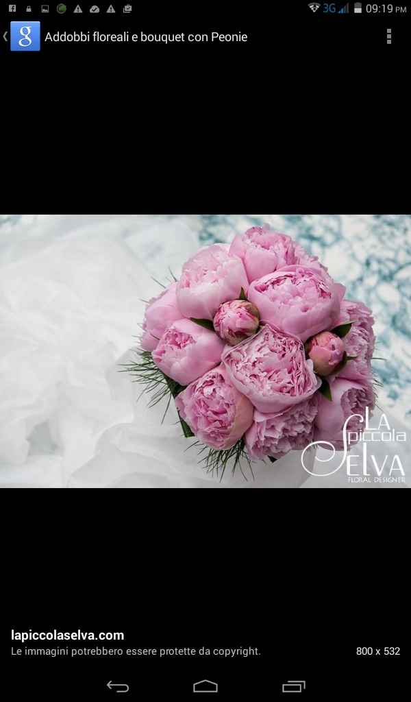 Le peonie - il fiore del mio matrimonio. - 1