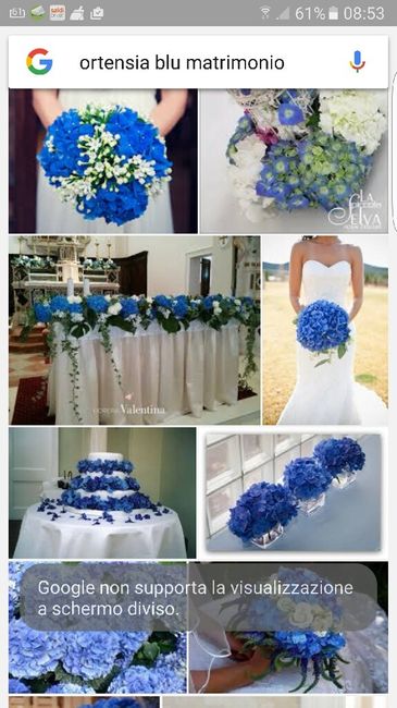 Fiore blu che non sia la rosa - 1