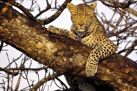 Il nostro viaggio di nozze - Sud Africa e Mauritius
